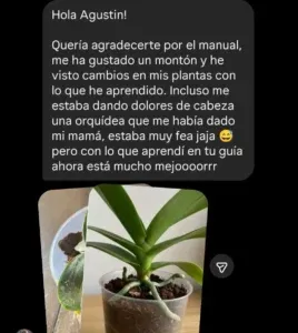 Testimonio 1