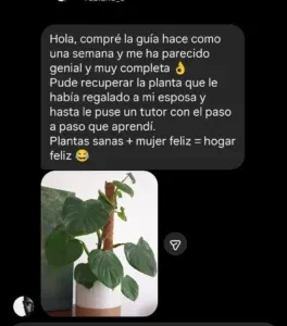 Testimonio 2
