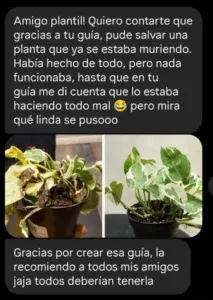 Testimonio 3