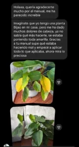 Testimonio 4